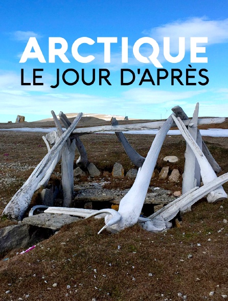 Arctique - Le jour d'après