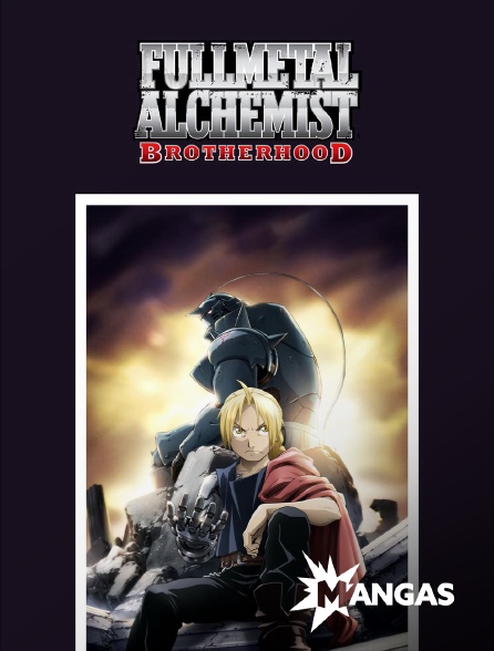 MANGAS - Fullmetal Alchemist : Brotherhood