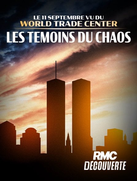 RMC Découverte - Le 11 septembre vu du World Trade Center, les témoins du chaos en replay