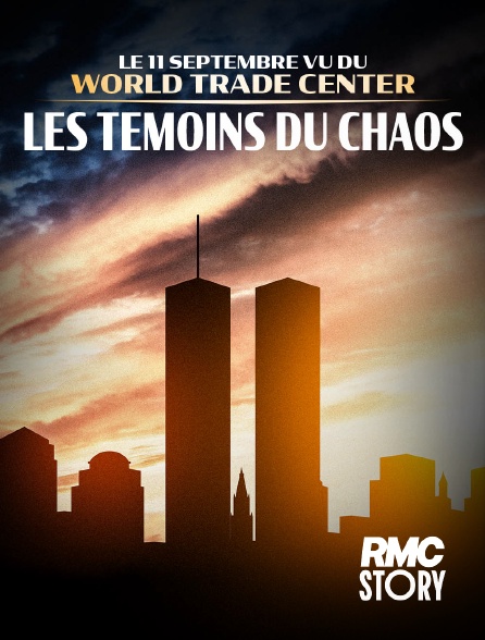 RMC Story - Le 11 Septembre vu du World Trade Center, les témoins du chaos en replay