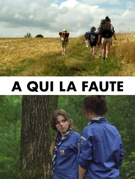 A qui la faute