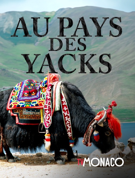 TV Monaco - Au pays des yacks