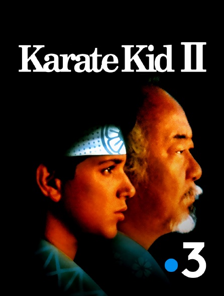 France 3 - Karate Kid : le moment de vérité II