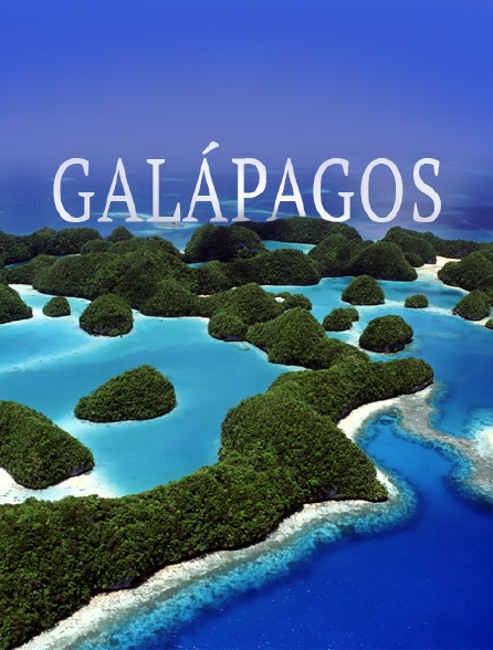 Les Galápagos : Un paradis secret