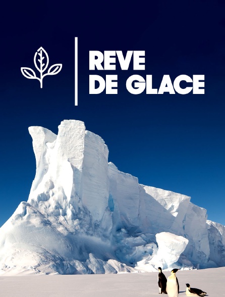 Rêve de glace