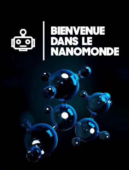 Bienvenue dans le nanomonde