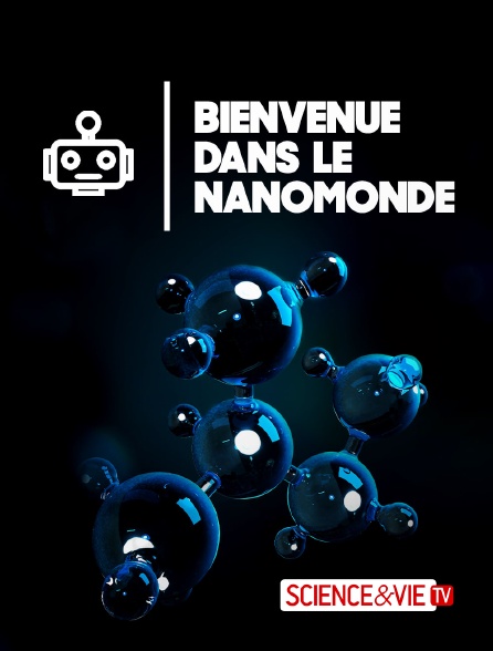 Science et Vie TV - Bienvenue dans le nanomonde