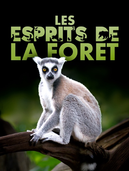 Les esprits de la forêt