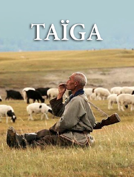 Taïga