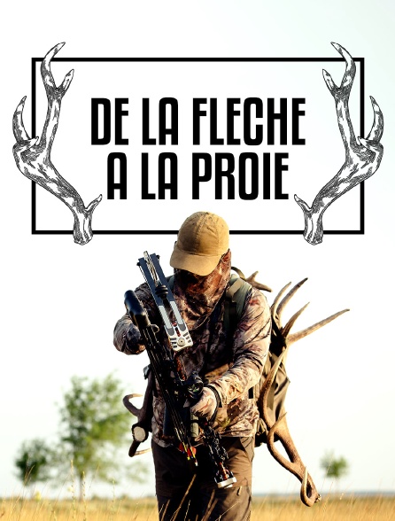De la flèche à la proie