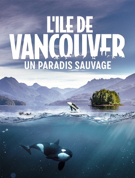 L'île de Vancouver : un paradis sauvage