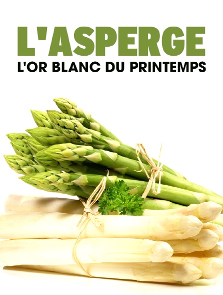 L'asperge, l'or blanc du printemps