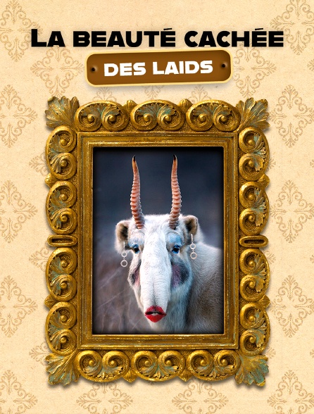 La beauté cachée des laids *2022