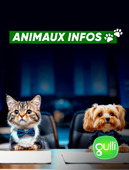 Gulli - Animaux infos