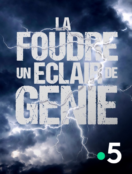 France 5 - La foudre, un éclair de génie