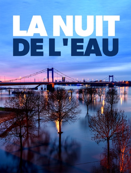 La nuit de l'eau : retour sur une catastrophe climatique