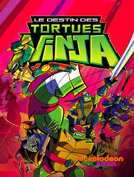 Nickelodeon Teen - Rise Of The Teenage Mutant Ninja Turtles