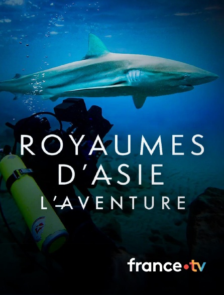 france.tv - Royaumes d’Asie, l’aventure