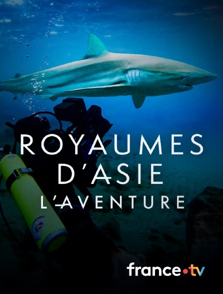 france.tv - Royaumes d’Asie, l’aventure en replay