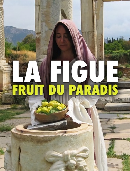 La figue, fruit du paradis