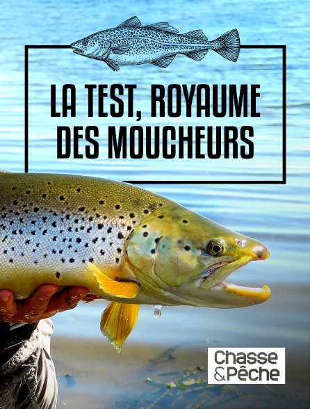 Chasse et pêche - La Test, royaume des moucheurs