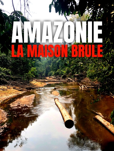 Amazonie, la maison brûle