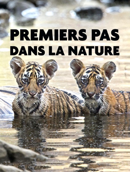 Premiers pas dans la nature