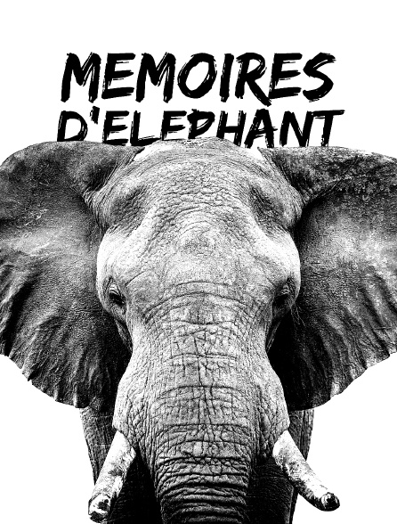 Mémoires d'éléphant