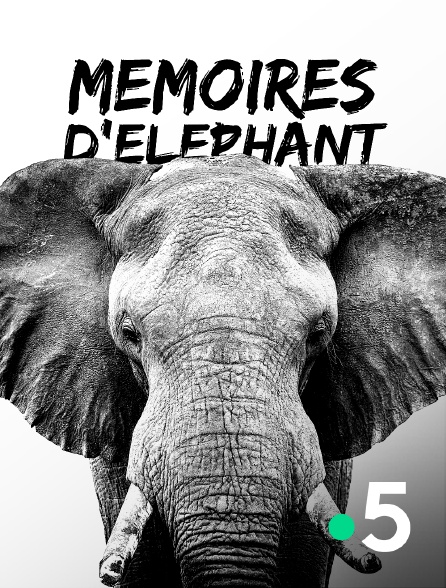 France 5 - Mémoires d'éléphant