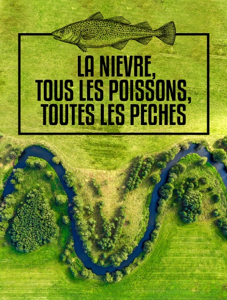 La Nièvre, tous les poissons, toutes les pêches