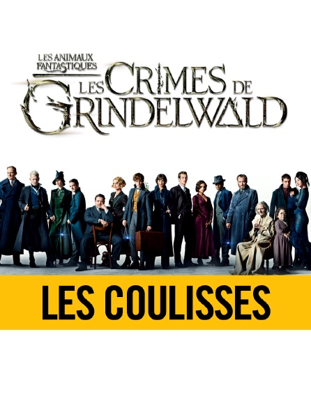 "Les Animaux fantastiques : Les Crimes de Grindelwald" | Les coulisses