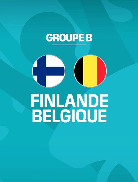 Football - Euro : Finlande / Belgique