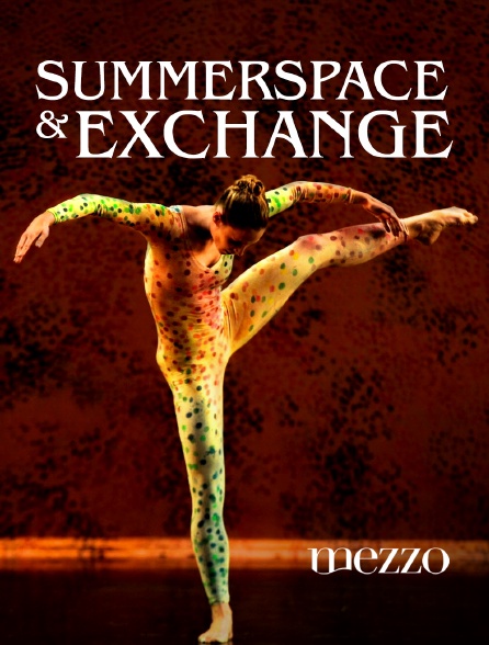 Mezzo - Summerspace & Exchange de Merce Cunningham : Ballet de l'Opéra de Lyon, Festival Montpellier Danse