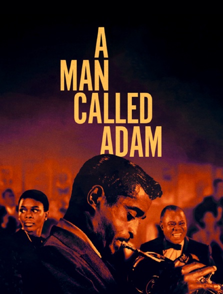 A Man Called Adam