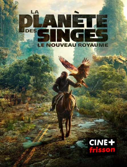 CINE+ Frisson - La planète des singes : Le nouveau royaume