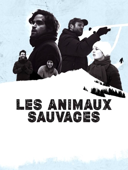 Les animaux sauvages