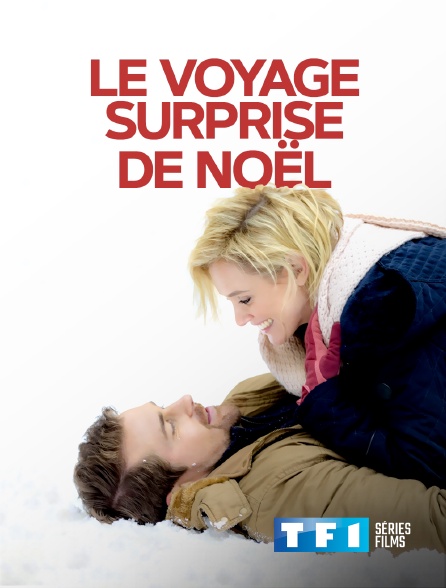 TF1 Séries Films - Le voyage surprise de Noël