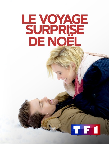 TF1 - Le voyage surprise de Noël