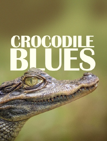 Crocodile Blues