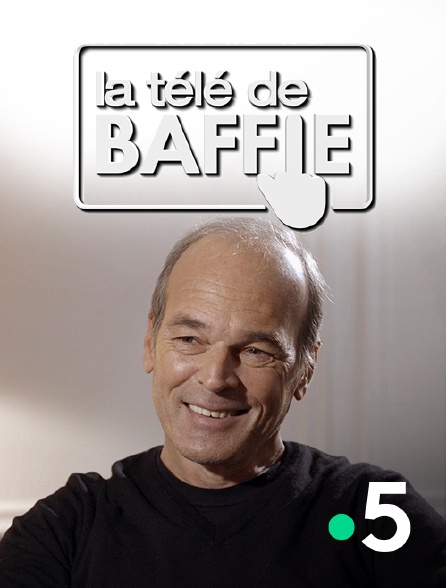France 5 - La télé de Baffie