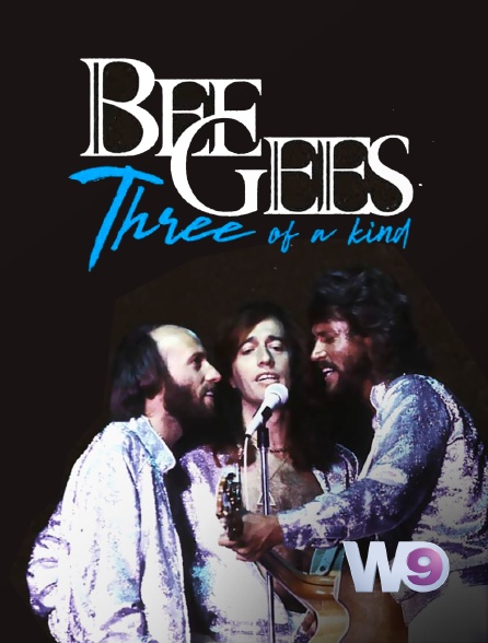 W9 - The Bee Gees : three of a kind