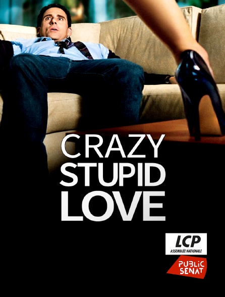 LCP Public Sénat - Crazy, Stupid, Love
