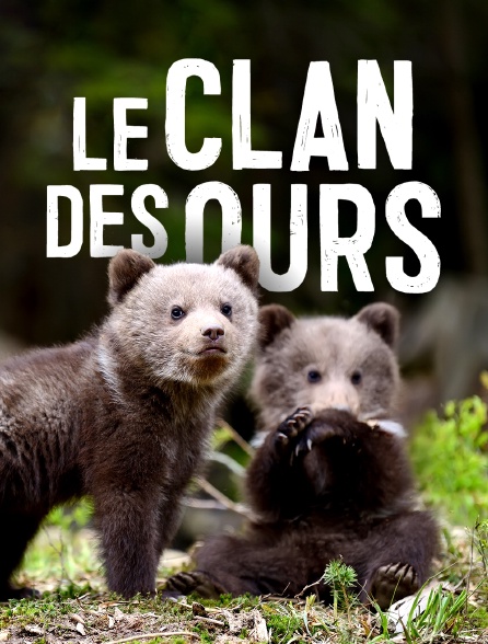 le clan des ours