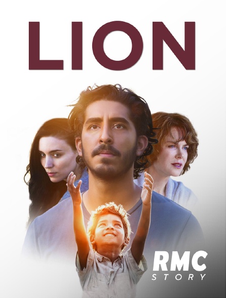 RMC Story - Lion