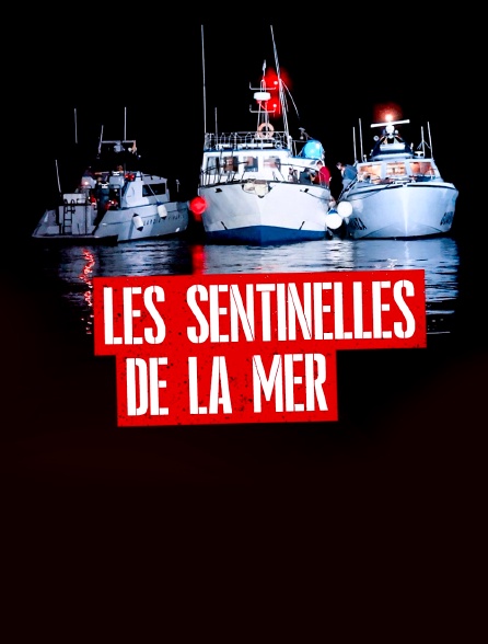 Les sentinelles de la mer