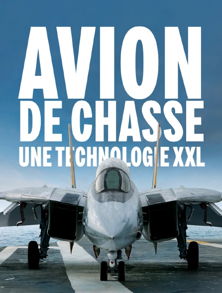 Avions de chasse : une technologie XXL