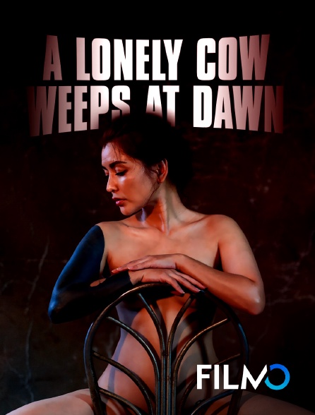FilmoTV - A lonely cow weeps at dawn