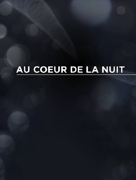 Au coeur de la nuit