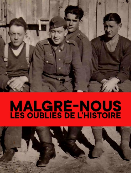 Malgré-nous, les oubliés de l'histoire