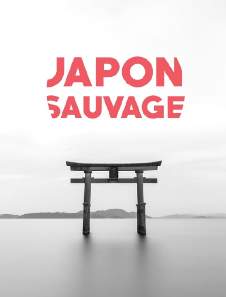 Japon sauvage